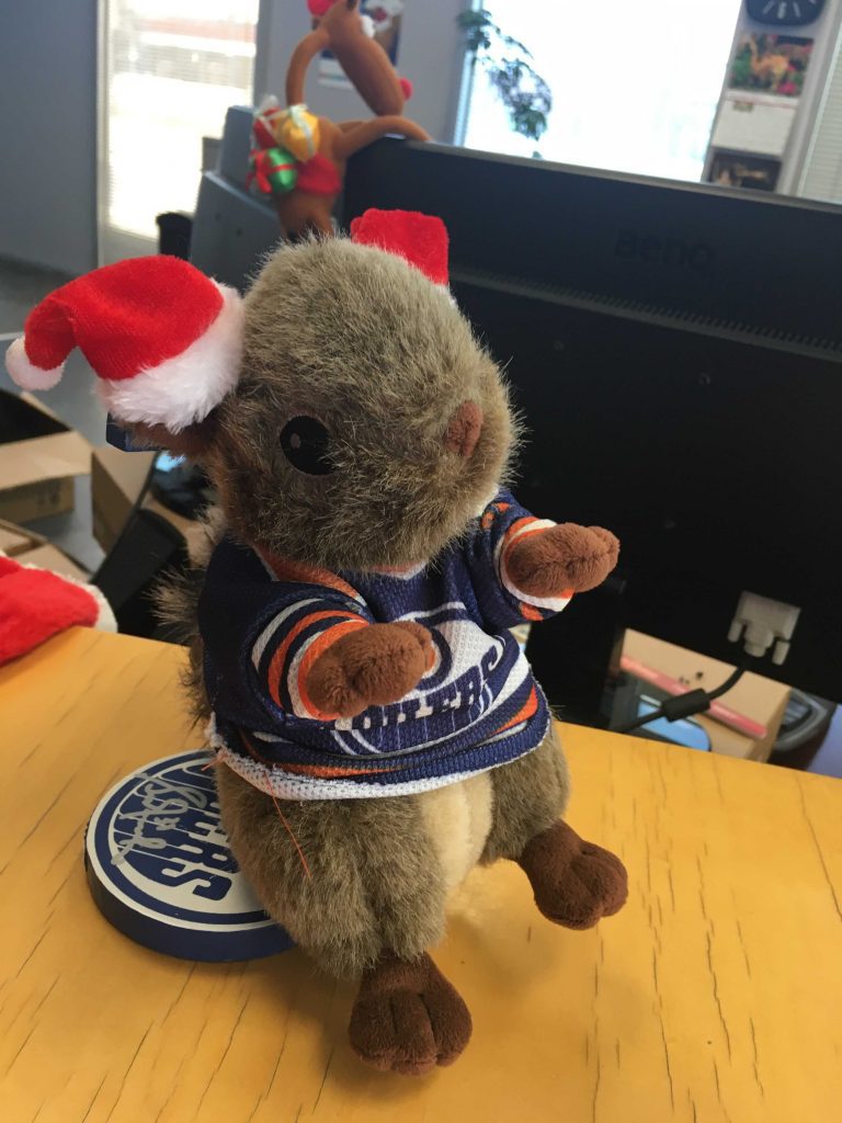 Christmas Earl the squirrel 768x1024 1